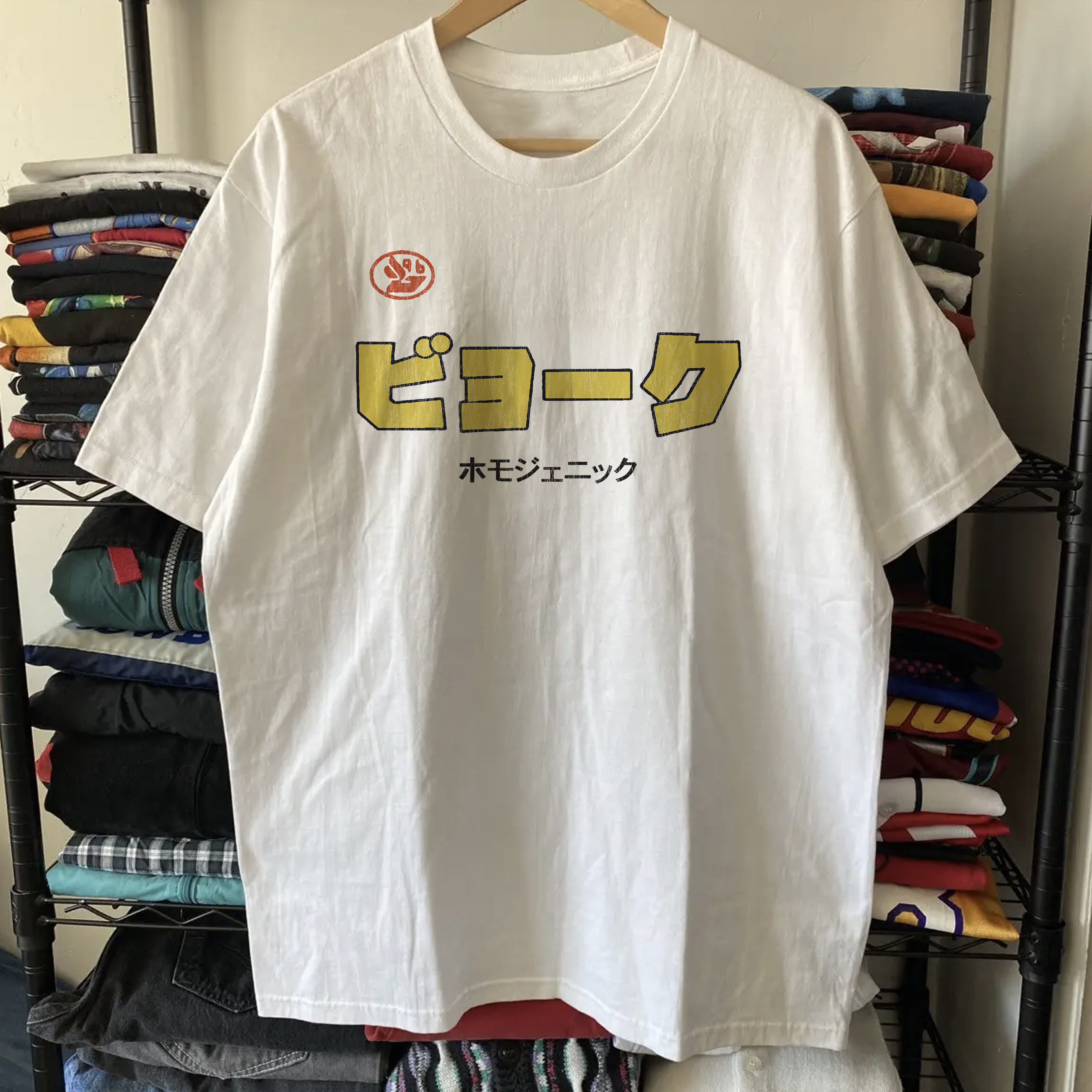 Rare Bjork Homogenic Washed White Tee – Strike Anywhere Vintage
