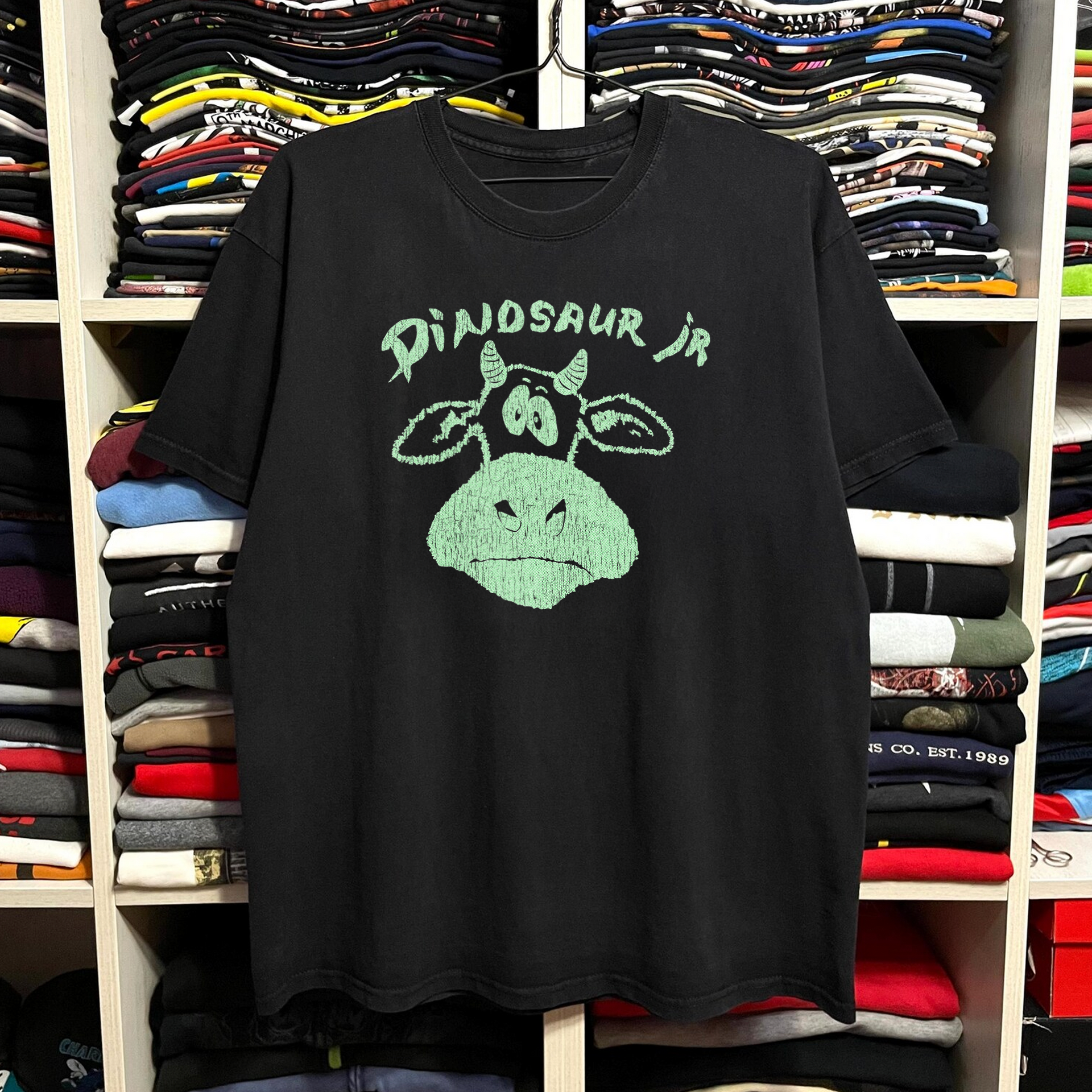 Rare Dinosaur Jr. Washed Black Tee – Strike Anywhere Vintage