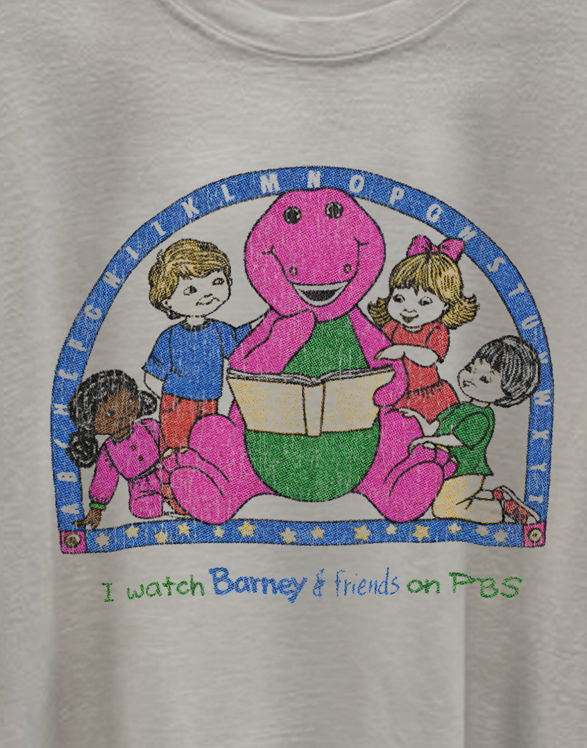 Barney & Friends PBS Washed White Tee
