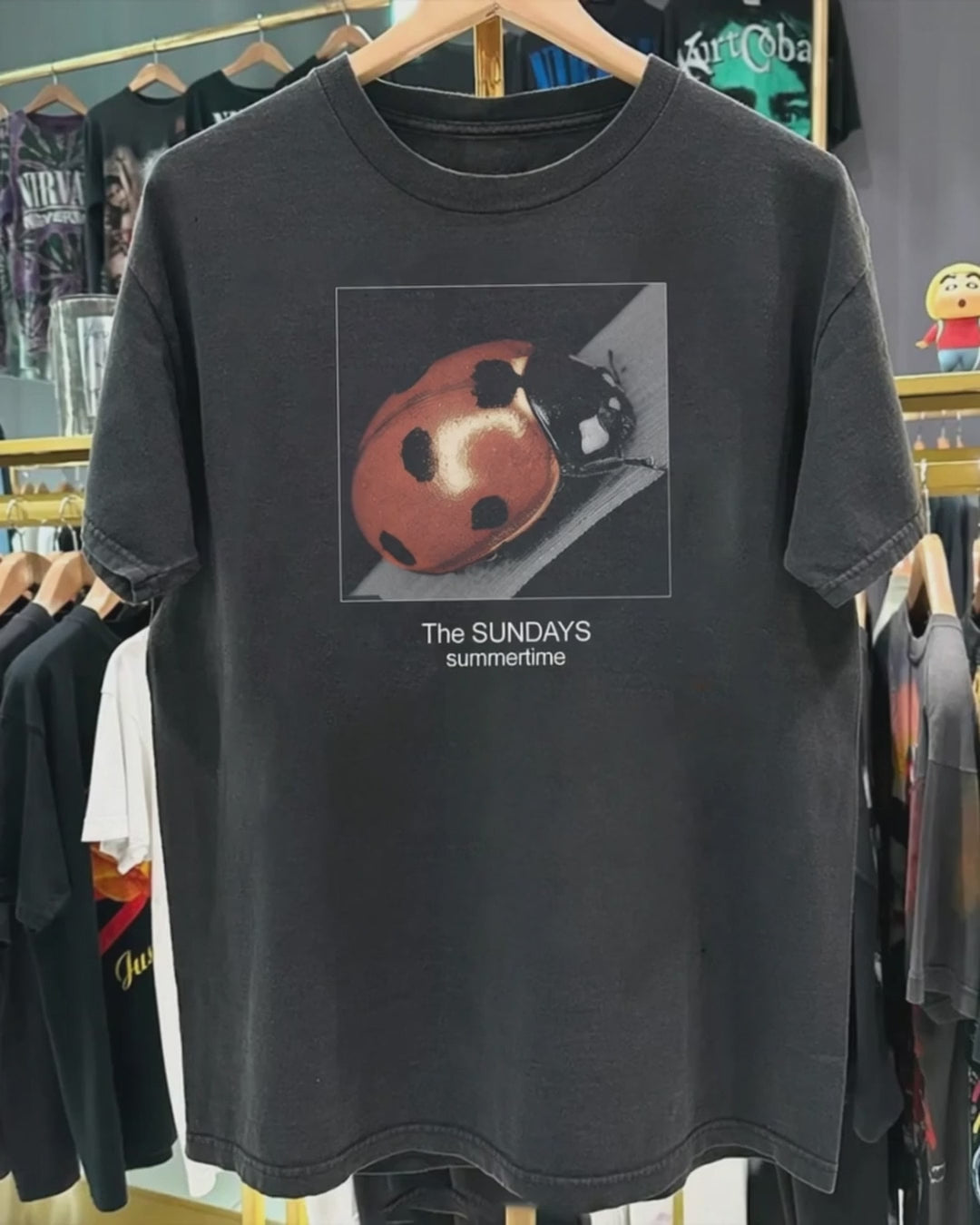 97 The Sundays Summertime Ladybug Washed Black T-Shirt product video [GB-DPA:66f37aa5df14]