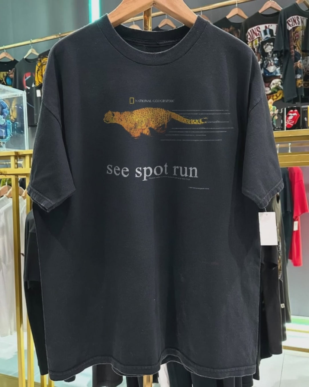 Y2K 'See Spot Run' Cheetah Nat Geo Rare Washed Black T-Shirt product video [GB-DPA:a9cabef20542]
