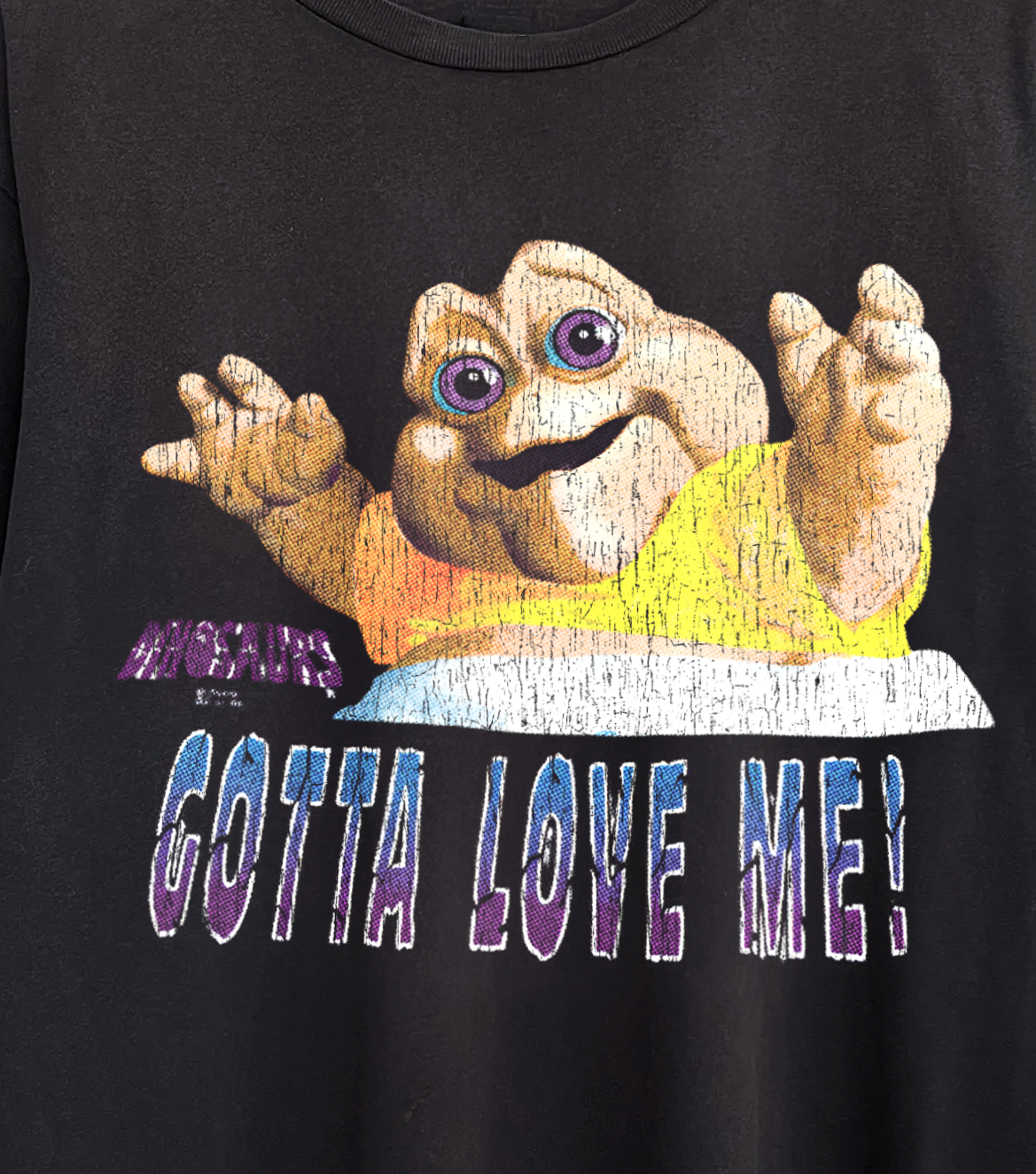 Dinosaurs Gotta Love Me Washed Black Tee