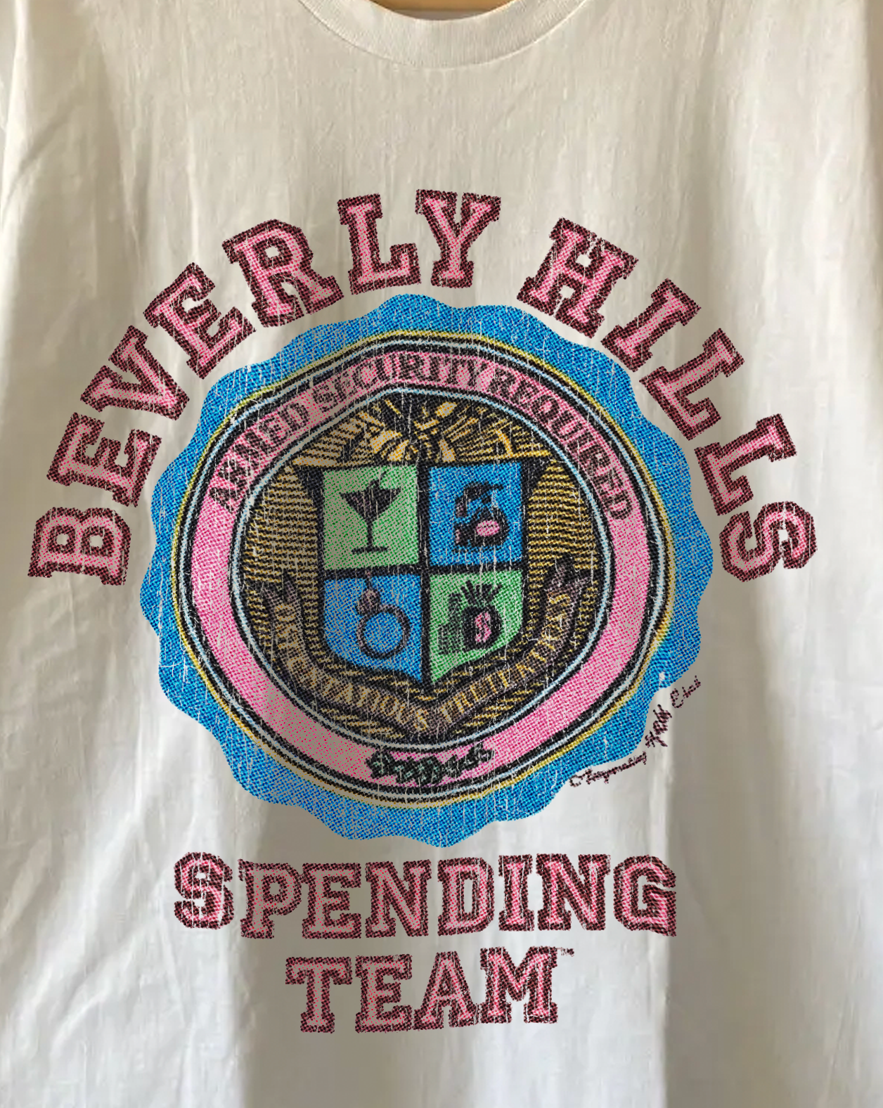 Beverly Hills Spending Team Washed White Tee
