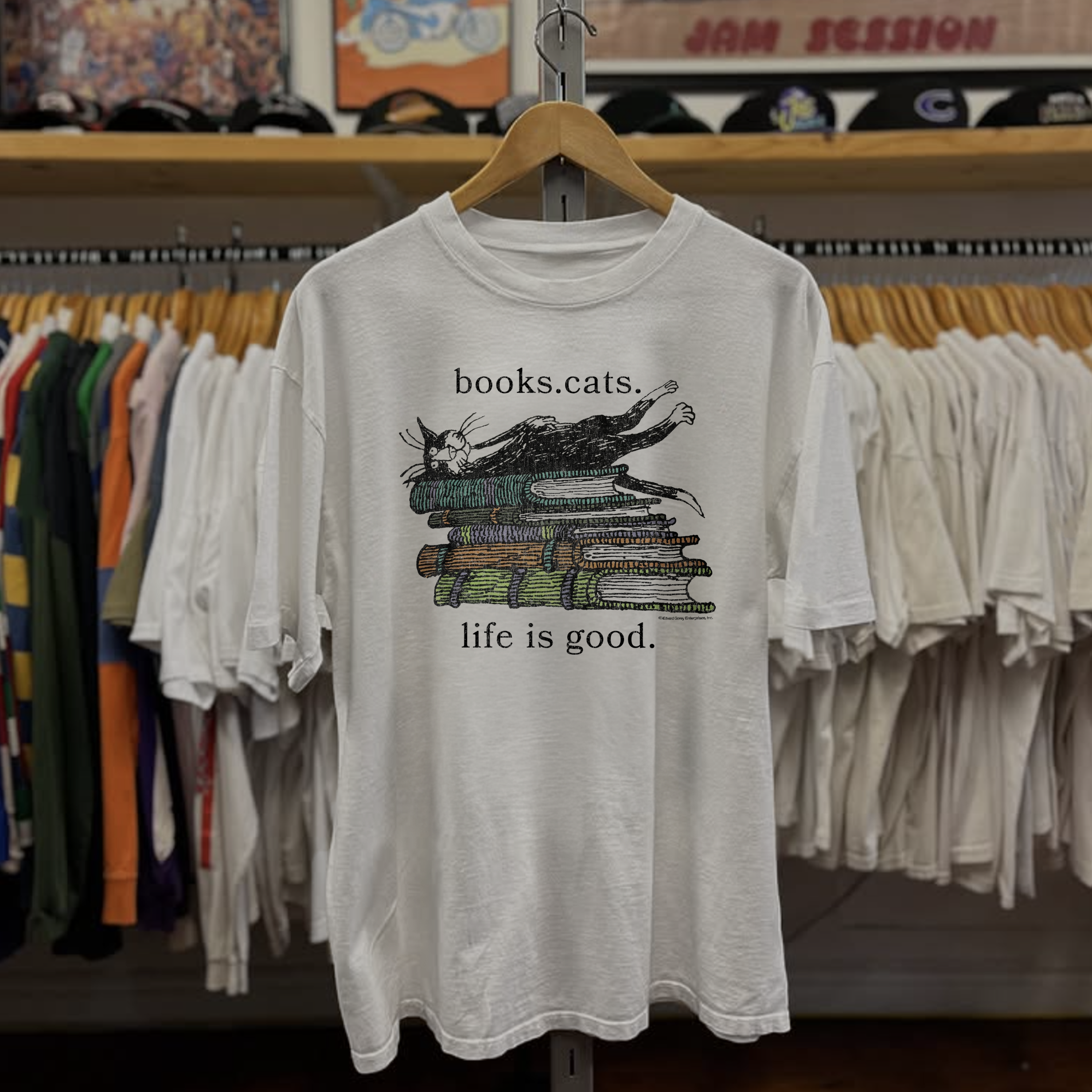 Rare Edward Gorey Books Cats Washed White Tee