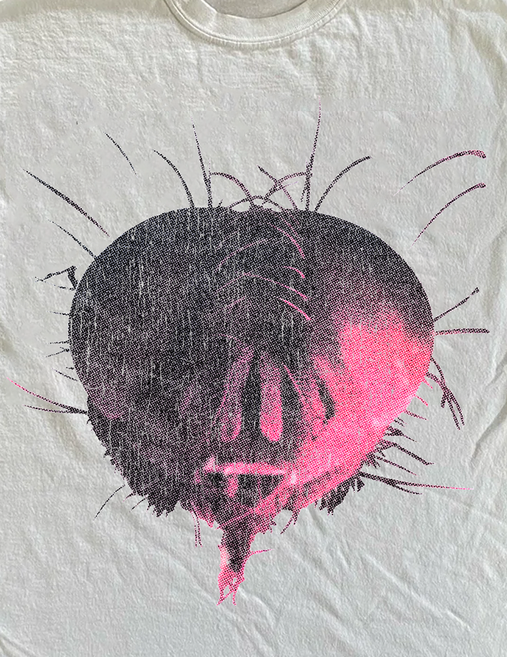 '94 Alice In Chains Jar Of Flies Vintage Washed White Tee