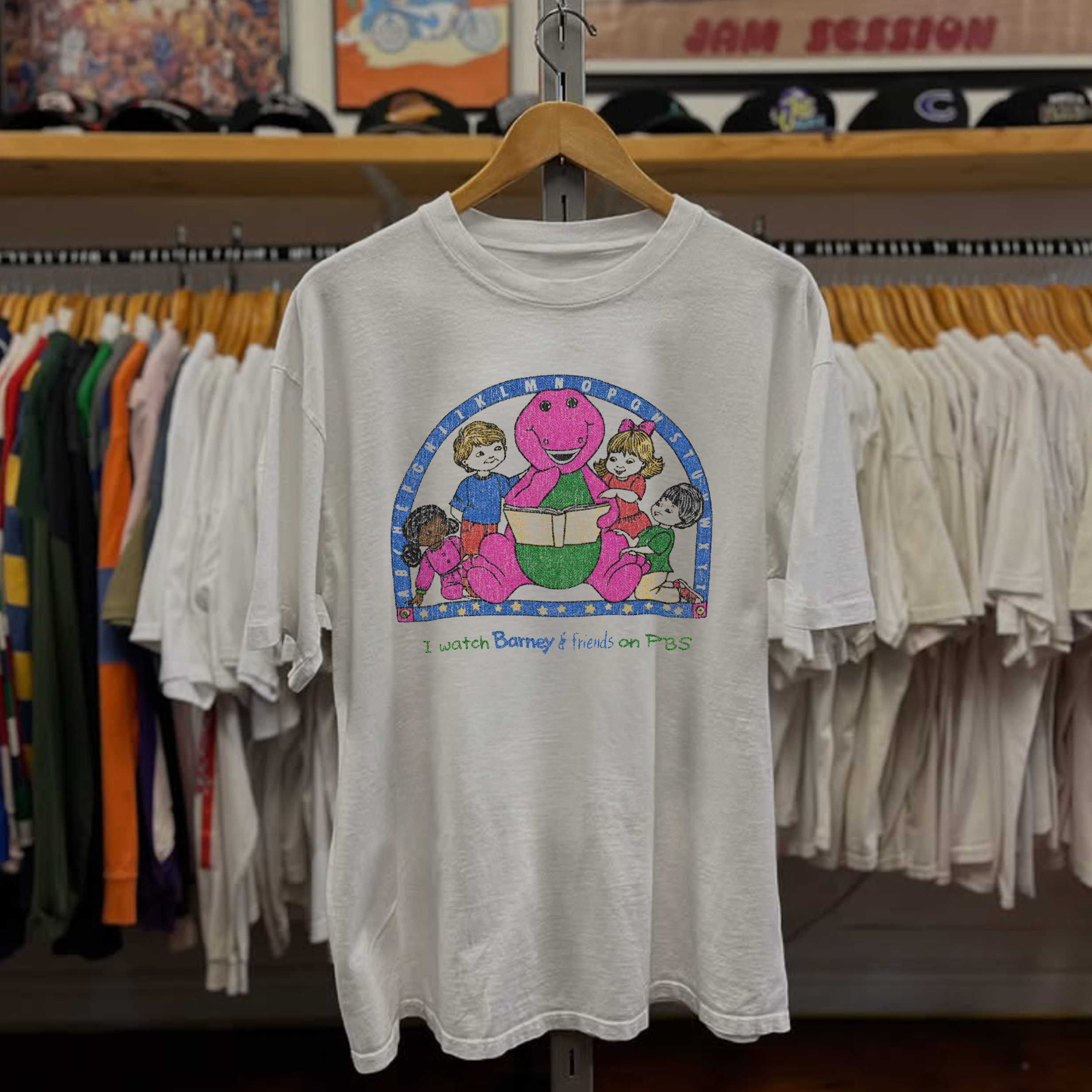 Barney & Friends PBS Washed White Tee